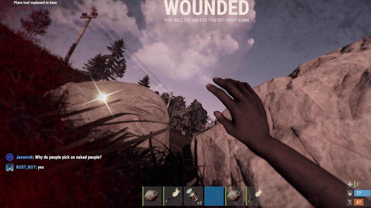 rust game